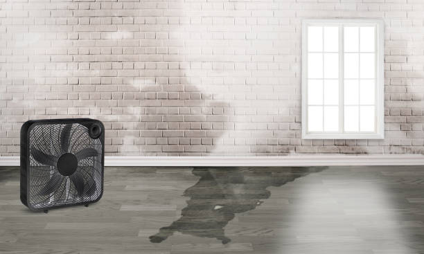  Vado, NM Water damage restoration Pros