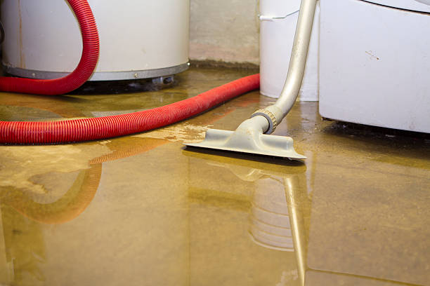 Best Flood restoration services  in Vado, NM
