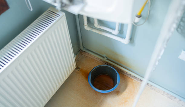 Best Water damage restoration near me  in Vado, NM